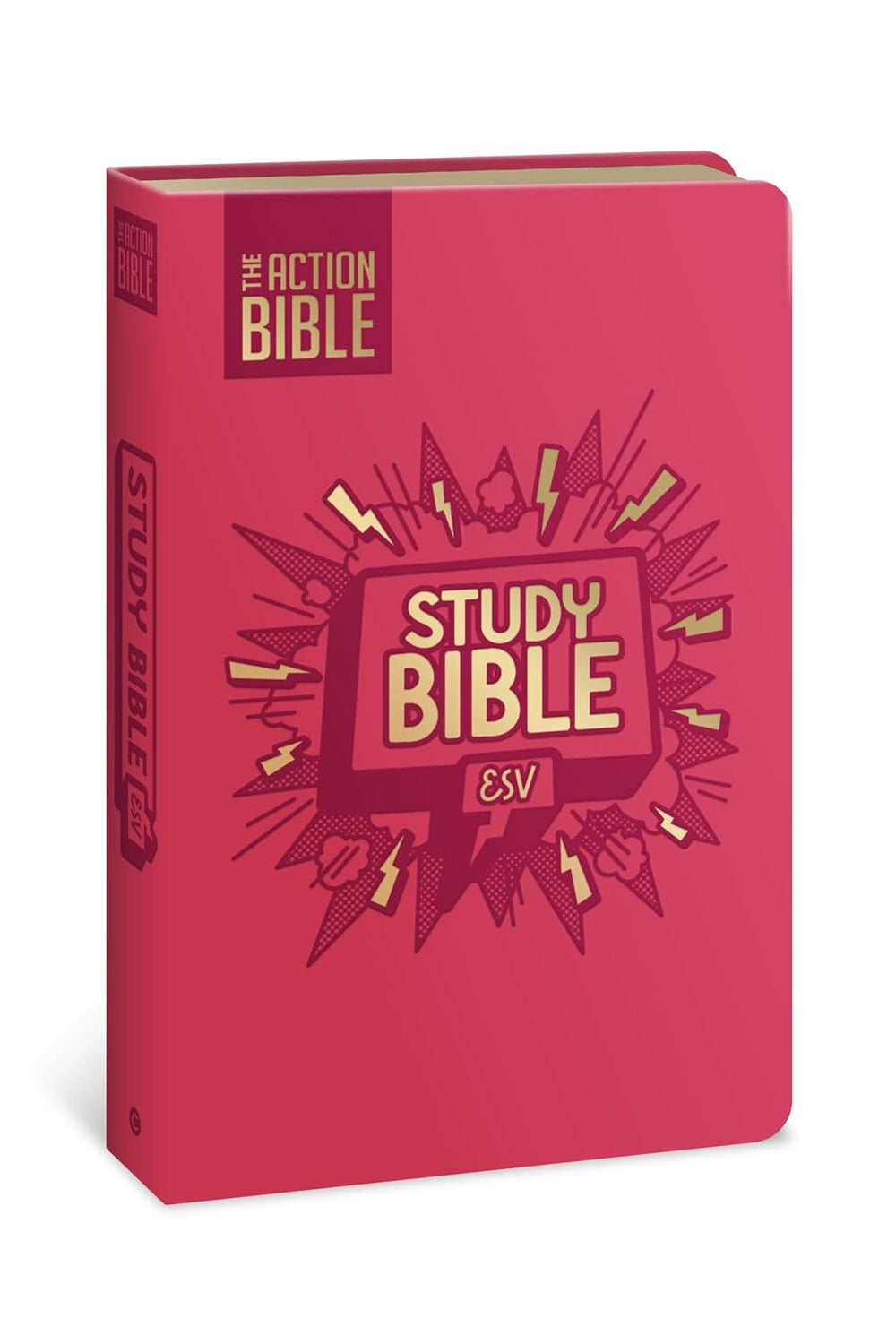 The Action Study Bible - Leathersoft ESV