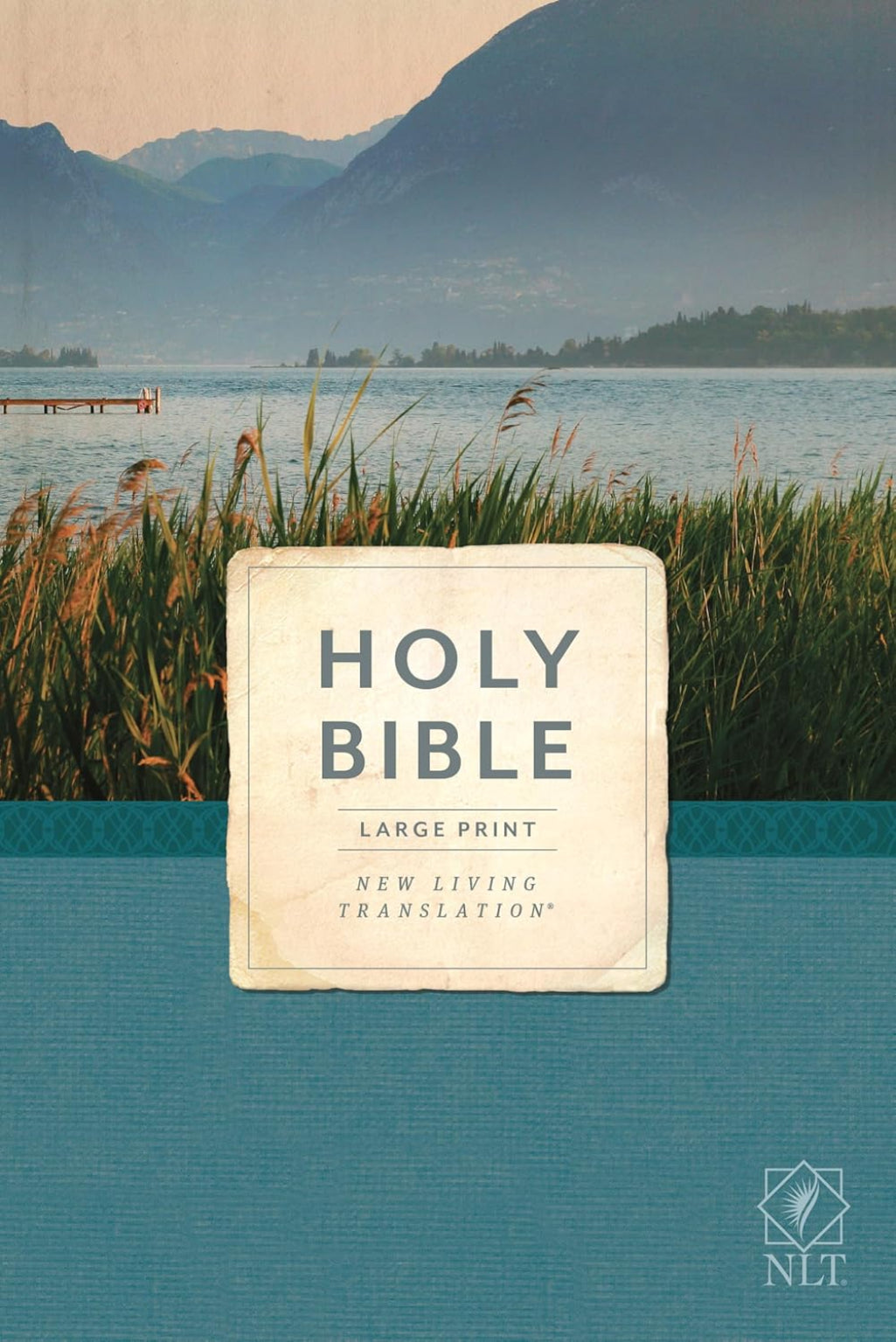 Holy Bible - Economy Outreach Edition NLT - Large Print