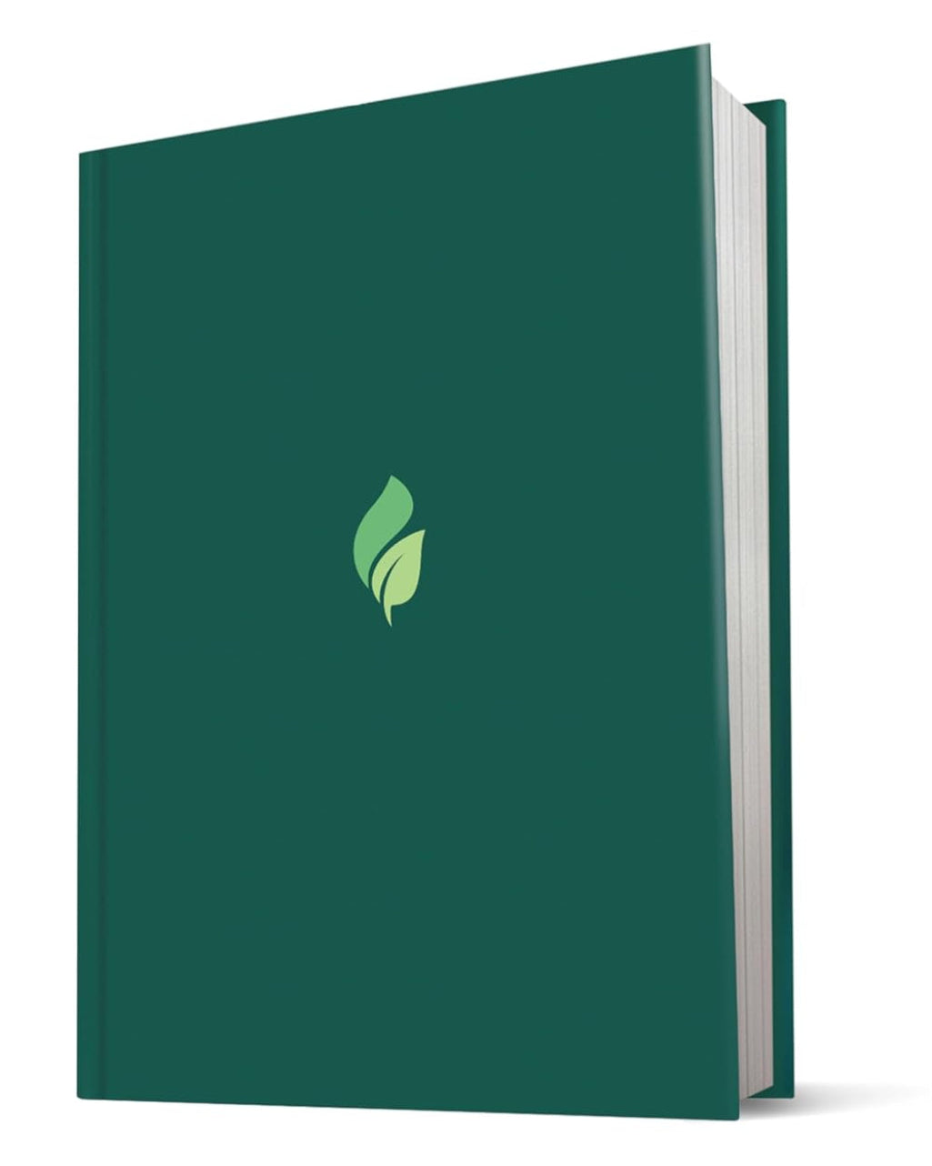 Life Recovery Bible NLT - Large Print